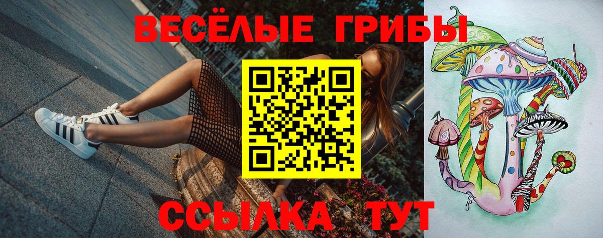 Таганрог  Псилоцибиновые грибы GOLDEN TEACHER  Вход с VPN  Псилоцибиновые грибы Magic Shrooms 